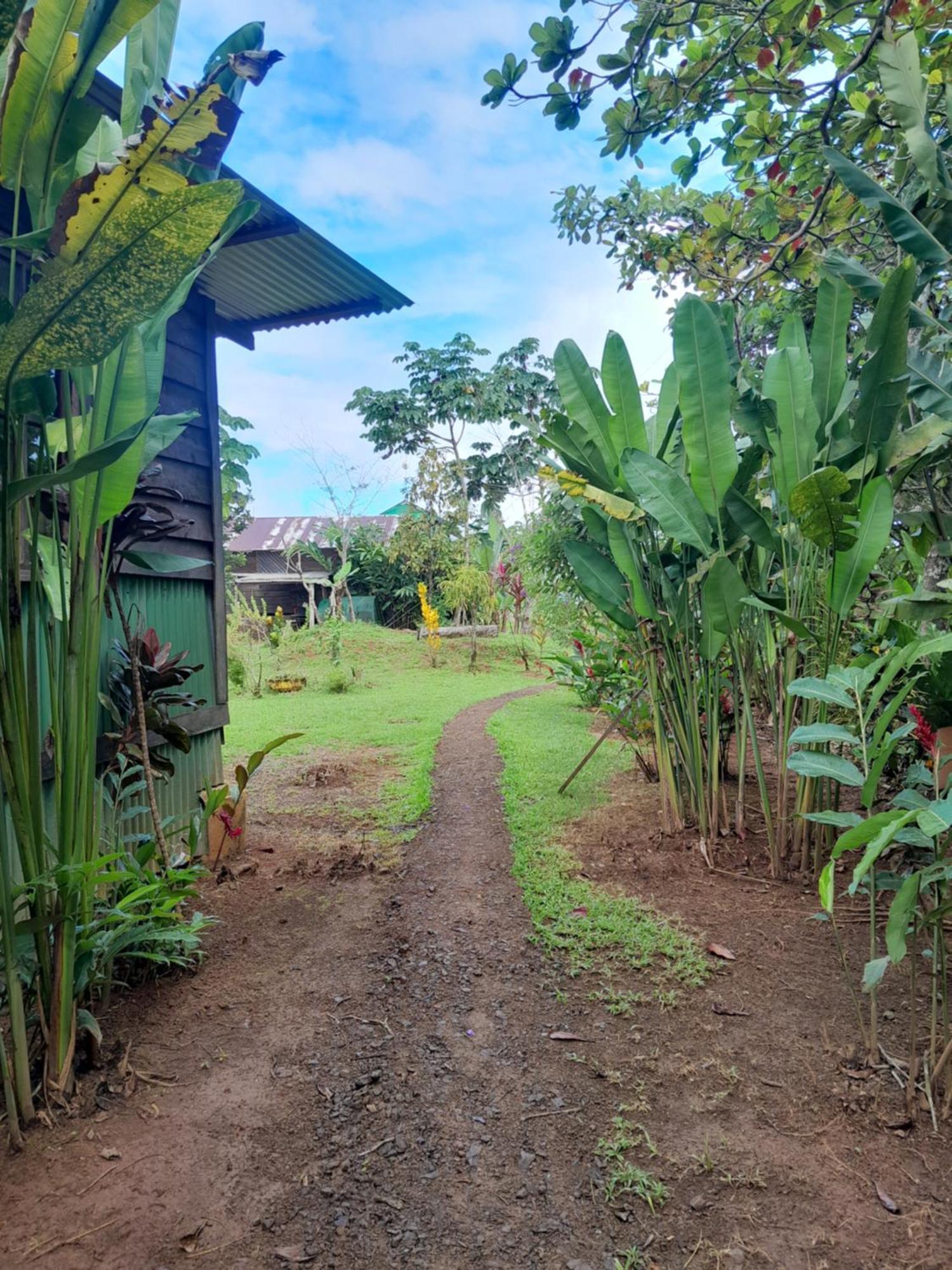 Finca La Puesta Del Sol - Miramar De Sierpe Camera foto